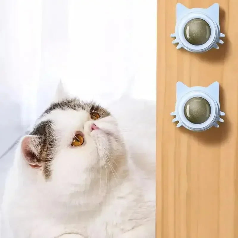 Catnip Wall Spin Ball